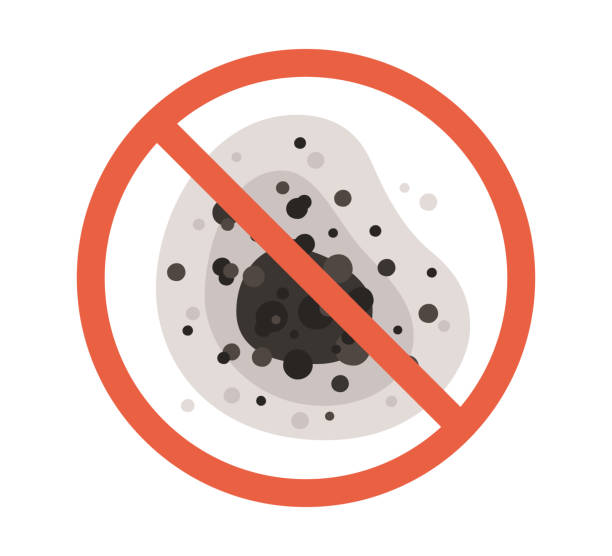 Environmental Consulting for Mold Prevention in Milford, IA